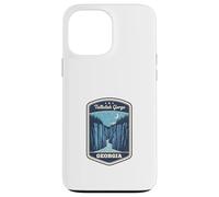 Tallulah Gorge Georgia Hiking Adventure Nature Travel Case for iPhone 13 Pro Max