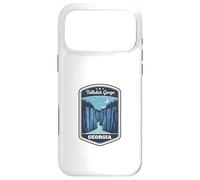 Tallulah Gorge Georgia Hiking Adventure Nature Travel Case for iPhone 17 Pro Max