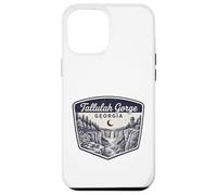 Tallulah Gorge Georgia Waterfall Nature Scenic Outdoors Case for iPhone 12 Pro Max