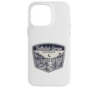 Tallulah Gorge Georgia Waterfall Nature Scenic Outdoors Case for iPhone 14 Pro Max