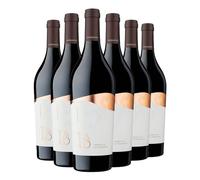 Talo San Marzano Verdeca White Wine 6 x 75cl | Italian White Wine from Puglia | Vegan Friendly | Aromatic Fruity White | Green Apple & Floral Notes | 12.5% ABV