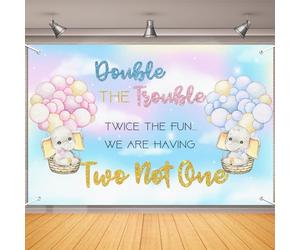 Talorine Twins Baby Shower Decorations Backdrop 6x4ft Elephant Pink Blue Gender Reveal Party Decorations for Twins Double The Trouble Twice The Fun We are Having Two not One Party Supplies