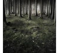 Talvihorros & Damian Valles - Monuments & Ruins