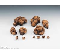 TAMASHII NATIONS - S.H.Figuarts - Rock Beige Ver. Effect