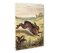 Tame Animals Hare Canvas Print | Gallery Wrapped 30mm Frame Wall Art | 24x16 inches | Ready to Hang | Retro Animals Picture | Living Room Bedroom Lounge Office
