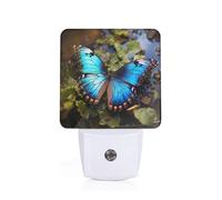 Tamiger Beautiful Blue Butterfly Print Night Light for Home Decor Bedroom Hallway Bathroom for Nightlight Illumination
