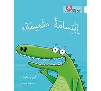 Tamima's Smile: Level 11 (Collins Big Cat Arabic Reading Programme)