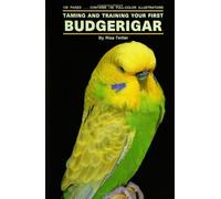 Taming and Training Your First Budgerigar