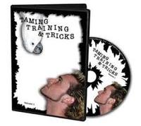 taming training and tricks volume 1 dvd bird tricks