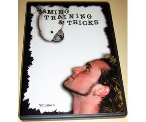 Taming, Training & Tricks V1 Dvd! Bird Tricks,