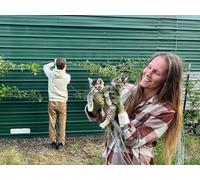 Taming Wild Rasberries in the Garden