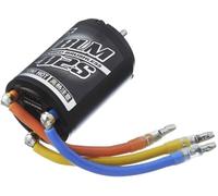Tamiya OP.1612 Tamiya brushless motor 02 with sensor 15.5T(54612)