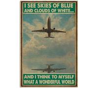 TammieLove Metal Tin Retro Sign Pilot I See Skies Of Blue I Think To Myself What A Wonderful World Poster Thanksgiving 8x12 inch, TinSignEUa45140