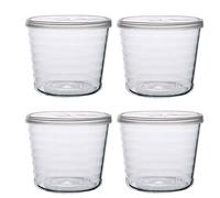 TAMUME Glass Pudding Bowl Set of 4, Dessert Bowl with Lid Cover Set