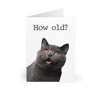Tamworth Cards British Shorthair Cat Greeting Card, Birthday - How Old? caption with Amazed Expression - Funny Happy Birthday card for Him or Her