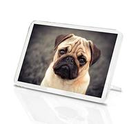 Tan Pug Dog Classic Fridge Magnet - Puppy Pet Animal 8623