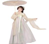 Tang Style Hanfu Women's Chinese Style Ru Skirt Ancient Clothing Women's Han Elements