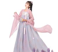 Tang Style Hanfu Women's Chinese Style Ru Skirt Ancient Clothing Women's Han Elements