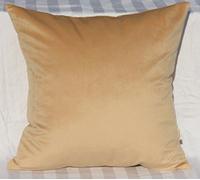 TangDepot Solid Velvet Throw Pillow Cover/Euro Sham/Cushion Sham, Super Soft Pillow Cases, Many Color & Size options - (14"x14", Beige)