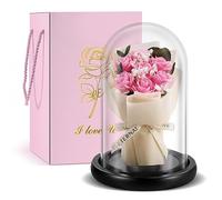 TangDouJM Gift for Women,Glass Domed Red Rose Bouquet,Timeless Rose Gift, for Couple, Christmas, Valentine's Day, Mother's Day, Interior Decoration