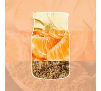 Tangerine and Vanilla