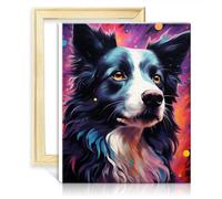 TANGFEIY Digital Painting Kits Border Collie DIY Oil Paint by Number On Canvas with Brushes and Acrylic Pigment Painted Style for Home Decor DIY Frame(30x40cm)