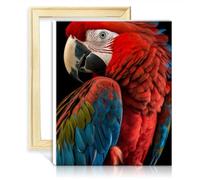 TANGFEIY Digital Painting Kits Scarlet Macaw Paint by Numbers Adults with 3 Brushes & Acrylic Paints Wall Art Oil Painting by Numbers Kits DIY Frame(30x40cm)