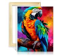 TANGFEIY Oil Painting Animals Birds Parrots DIY Digital Oil Painting Adults with Brushes and Acrylic Pigment on Art Paint by Numbers Kits DIY Frame(40x50cm)