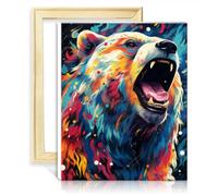 TANGFEIY Paint by Number Cosmic Polar Bears Oil Painting DIY Watercolor with Brushes and Acrylic Pigment on Canvas House Art Deco Crafts with Frame(30x40cm)