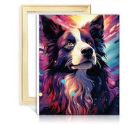 TANGFEIY Paint Kits Canvas Border Collie DIY Oil Painting Paint by Number Kit Adults Acrylic Number with Paintbrushes Painted Style for Home Decor No Frame(40x50cm)