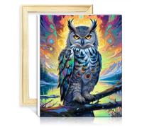 TANGFEIY Paint Kits Canvas Eurasian Eagle Owl Paint by Numbers Adults Beginner Acrylic Number with Paintbrushes Picture for Home Decor with Frame(30x40cm)