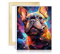 TANGFEIY Painting by Numbers Kits French Bulldog Graffiti DIY Oil Painting Kits on Canvas with Brushes and Acrylic Pigment for Wall Decor with Frame(30x40cm)