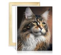 TANGFEIY Paintting Canvas Oil Painting Kit Maine Coon Portrait DIY Paint by Number with Brushes and Acrylic Pigment on Canvas Artwork Adult Paint DIY Frame(40x50cm)