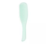 Tangle Teezer | The Fine and Fragile Wet Detangler Hairbrush for Wet & Dry Hair | Color Treated, Fine, Fragile Hair | Jade Lagoon