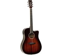 Tanglewoood, New, Electro Acoustic Guitar, Dreadnought TW5EAVB, Normally £449.00