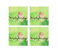 Tangoo Scented Greeting Cards - Field Mouse Blossom - Four Greeting Cards with Envelopes Blank for Your Own Message Size 15.5 x 15.5 cm