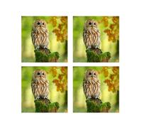 Tangoo Scented Greeting Cards - Owl - Four Greeting Cards with Envelopes Blank for Your Own Message Size 15.5 x 15.5 cm