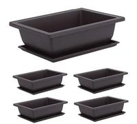 TANGPINGMAO Bonsai Pot 10PCS Square Plastic Plant Pot with Saucer 6.3x4.7x2.3 Inch Bonsai Tree Pots with Trays Garden Pots for Flower Succulent Growing