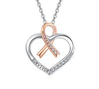 TANGPOET Survivor Necklace for Women 925 Sterling Heart Necklace Breast Cancer Fighter Jewelry Inspirierend Survivor Gifts For Women Girls