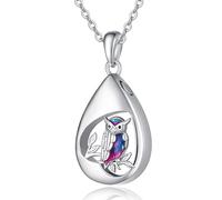 TANGPOET Teardrop Urn Necklace 925 Sterling Silver Owl Ashes Necklace, Cremation Jewellery for Ashes Pendant, Gifts for Women Girls, with Funnel Filler Kit