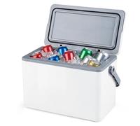 TANGZON Portable Hard Cooler, 12L Mini Ice Box with Handle & PP Liner, Leak-Proof Insulated Ice Cooler Box for Camping, Fishing, Picnic, BBQ, Travel, White