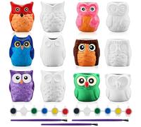 Tanlade 12 Set Paint Your Own Ceramic Planters Mini Owl Ceramic to Paint Succulent Pots 2.5 Inch Bisque Ceramics Unpainted with Drainage Hole Ready to Color Classroom Craft Project Activity