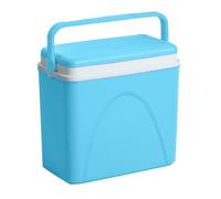 Tanness 24L Cool Box - Compact Insulated Ice Cooler Box for Hot or Cold Food and Drinks - Portable Ice Cooler for Camping, Picnics, Festivals, Travel, Beach, BBQs & Outdoor Adventures