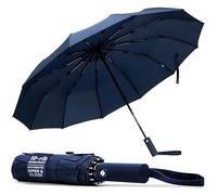 TANNESS Windproof Umbrella - 10-Rib Waterproof & Compact with Automatic Open/Close Function and Ergonomic Handle - Folding Mini - Strong for Wind and Rain (Blue)