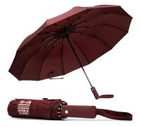 TANNESS Windproof Umbrella - 10-Rib Waterproof & Compact Umbrella with Automatic Open/Close Function and Ergonomic Handle - Folding Mini Umbrella - Strong Umbrellas for Wind and Rain (Red)