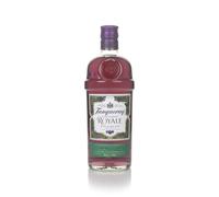 Tanqueray Blackcurrant Royale Gin 3cl Sample Flavoured Gin