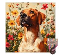 Tansy Vale Rhodesian Ridgeback Dog 11CT Pre-Printed Cross Stitch Kits for Adults & Beginners, Pattern Needlepoint Kit Crafts for Home Decor Gifts 16x16 Inch 12355