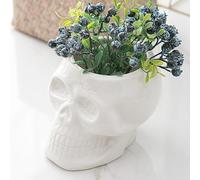 Tanvecle Skull Planter Pots, Skeleton Vase for Succulent, Flowers, Gothic Centerpiece for Table, Punk Home Decor and Accessories, Halloween and Day of the Dead Decorations - White
