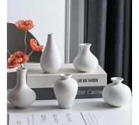 Tanvecle Small White Vases, Ceramic Bud Vase Set of 5, Mini Pottery Vases for Pampas Grass, Flowers, Decorative Vases for Home Modern Decor, Rustic Decor, Veses for Living Room Dining Table Shelves