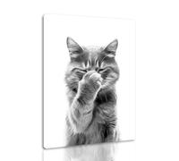 TANWYTQFAEH Framed Funny Bathroom Wall Art Canvas Prints Artwork Black And White Cat Pictures Toilet For Walls Prints Animal Autumn Posters Decor (THE-0E, 30x40 cm, Framed)